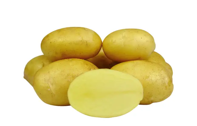Посадка и выращивание картофеля Королева Анна